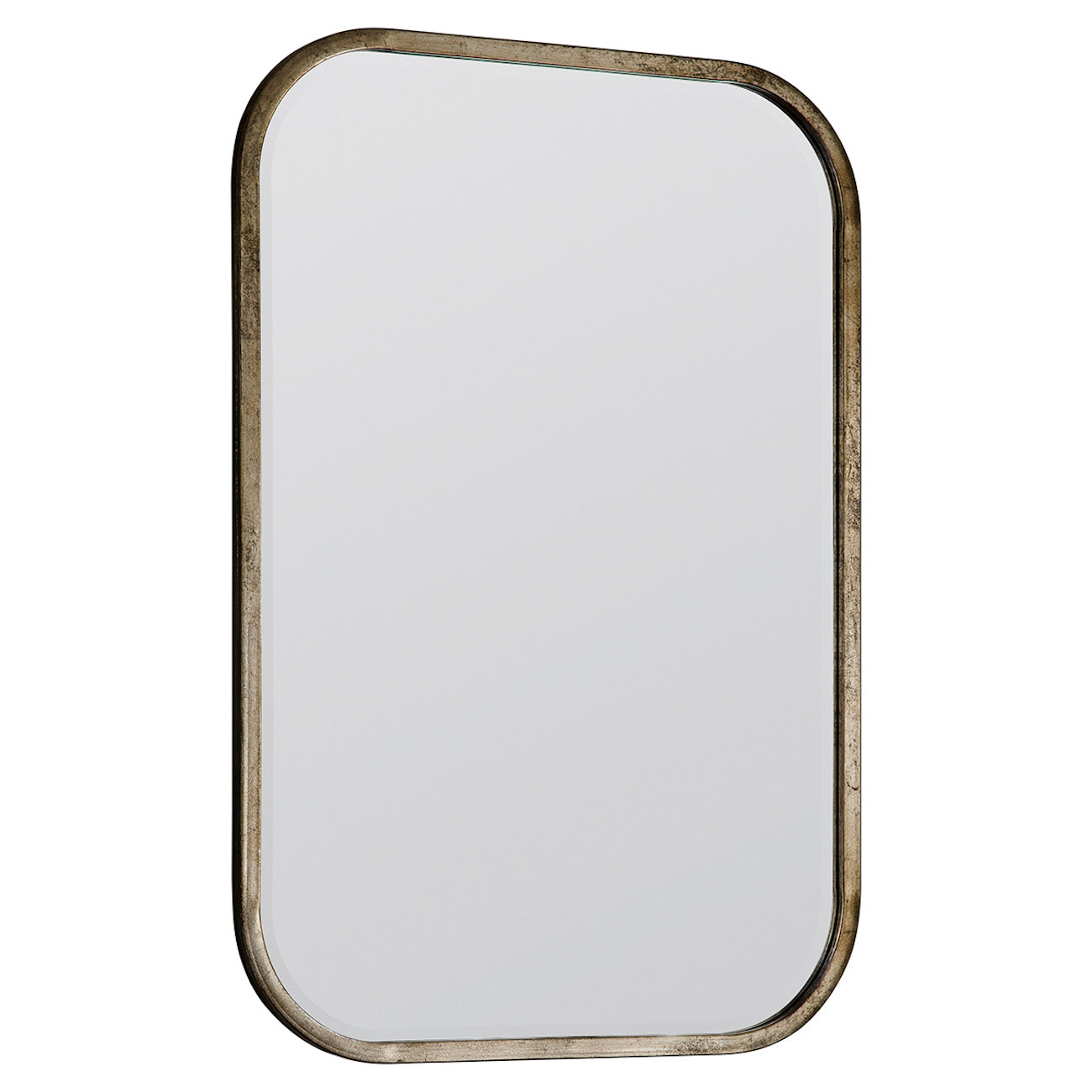 Antique Vertical Metal Wall Mirror